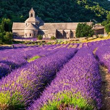 Схема вышивки «Поле лаванды»