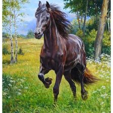 Схема вышивки «На воле»