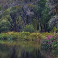 Схема вышивки «Слушая Вивальди...»