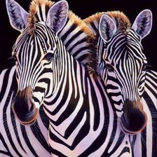 Схема вышивки «№2598433»