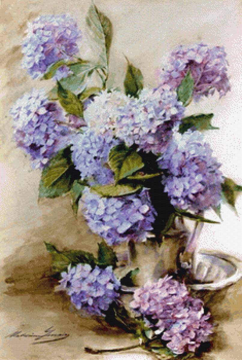 Гортензии - гортензия, букет, цветы - предпросмотр