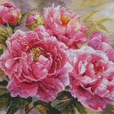 Схема вышивки «пионы»