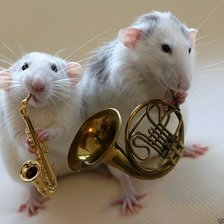 Схема вышивки «Мышиный концерт»