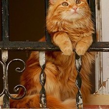 Схема вышивки «На балконе»