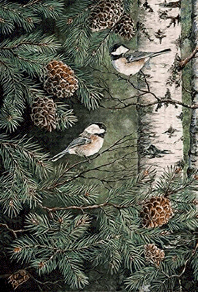 Лесные птицы - лес, птицы, пейзаж - предпросмотр