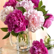 Схема вышивки «Пионы»