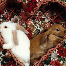 Схема вышивки «Зайчики в лукошке»