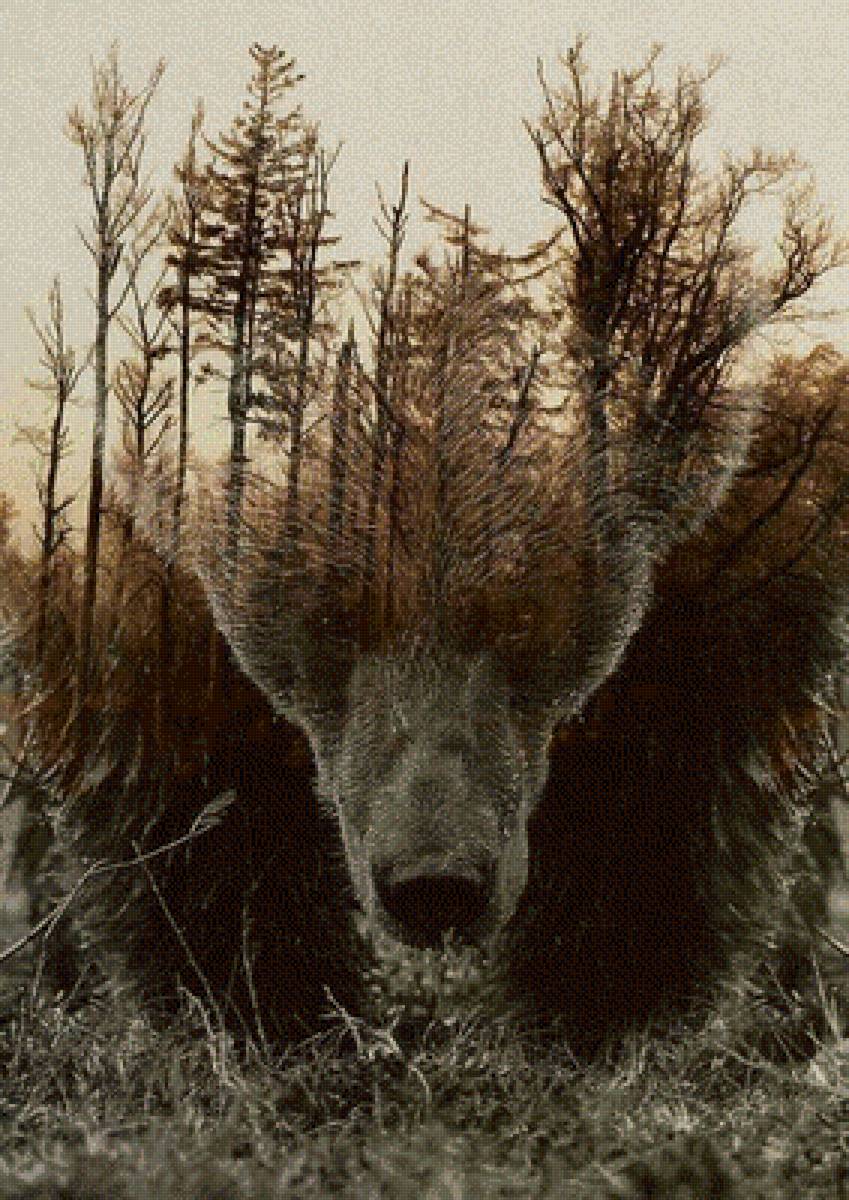 дух тайги - природа - предпросмотр