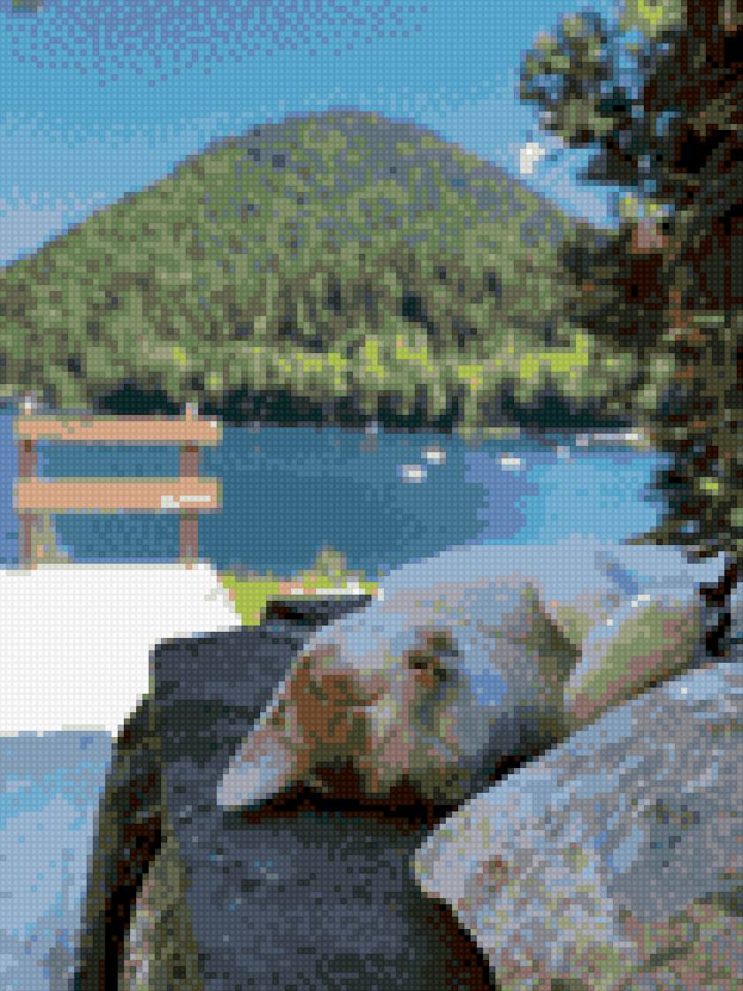 Котик и Абхазия - предпросмотр