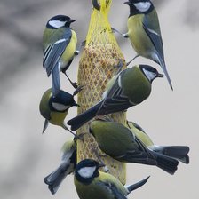 Схема вышивки «№2599516»