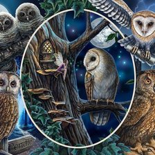 Схема вышивки «Умные совы»