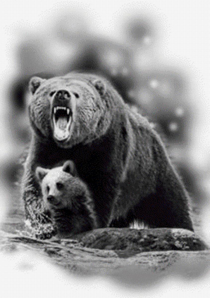 медведи - природа - предпросмотр