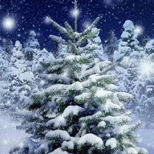 Схема вышивки «Зима»