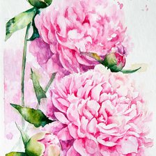 Схема вышивки «Pink Peonie»