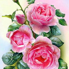 Схема вышивки «розы»