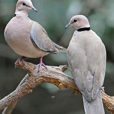 Схема вышивки «№2600644»