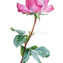 Схема вышивки «Роза»