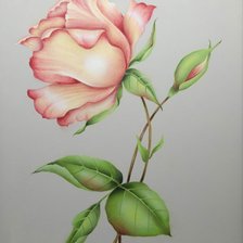 Схема вышивки «Розочка»