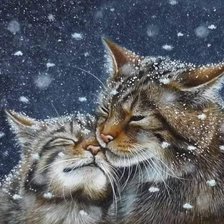 Схема вышивки «Нежность»