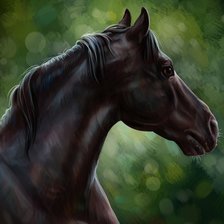 Схема вышивки «№2601099»