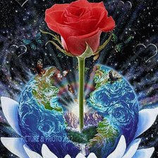 Схема вышивки «Роза»