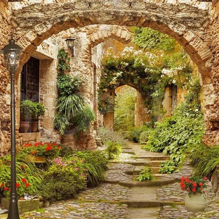 Старинная арка - улочка, арка, цветы - оригинал