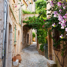 Схема вышивки «Магнолия у дома»