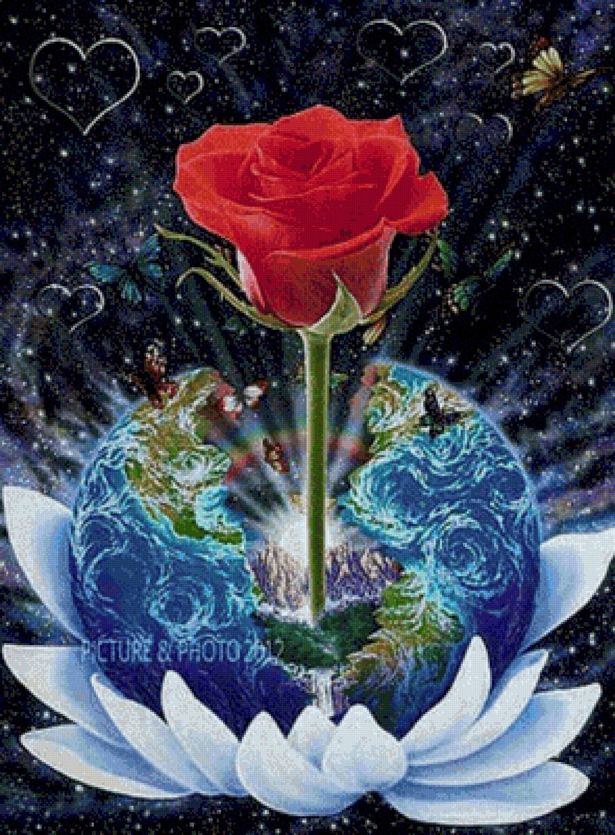 ROSA DMC - предпросмотр