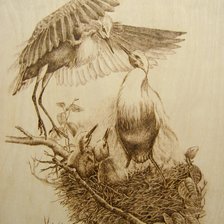 Схема вышивки «Гнездо»