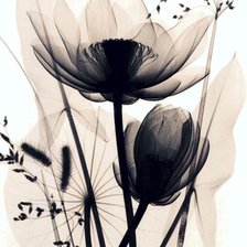 Схема вышивки «13.12.22»