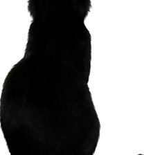 Схема вышивки «Кошка1(триплекс)»