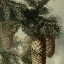 Схема вышивки «ветка ели»