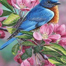 Схема вышивки «весна»