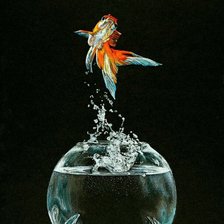 Схема вышивки «Рыбка желаний»