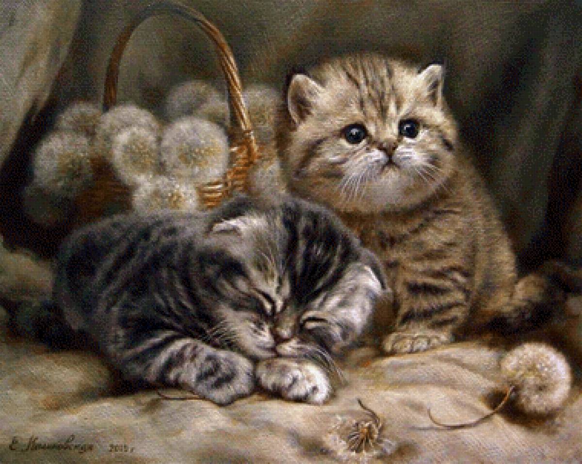 Котики - кот - предпросмотр