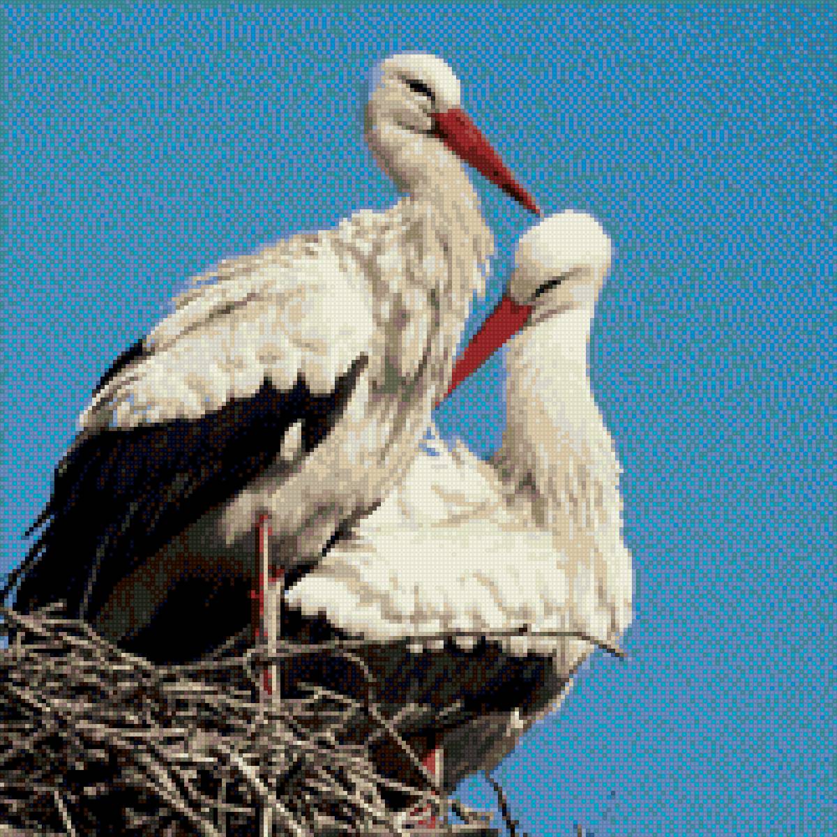 Аисты - предпросмотр