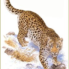 Схема вышивки «леопард»