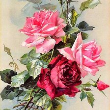 Схема вышивки «Катарина Кляйн»