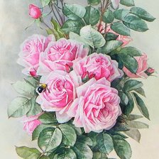 Схема вышивки «Поль де Лонгпре»