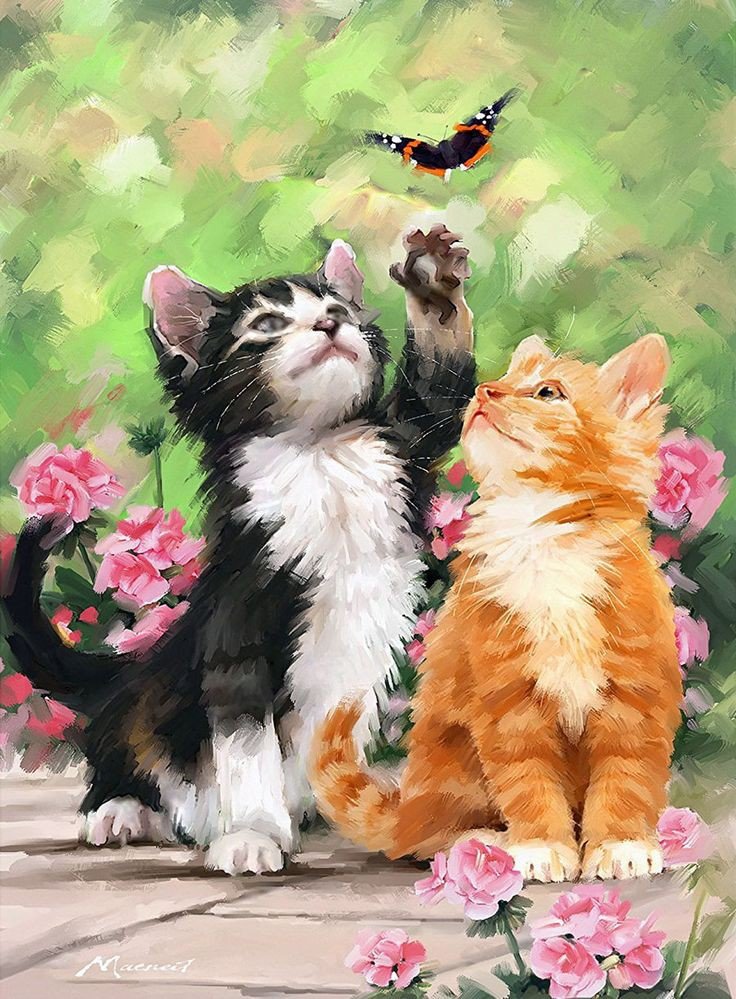 Друзья - коты, бабочка 🦋 - оригинал