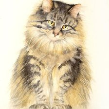 Схема вышивки «,,Тишка,,»