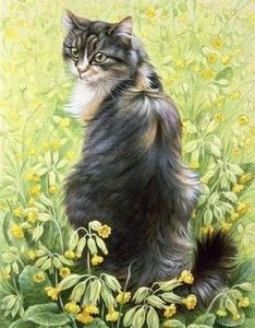 На лужайке - кот 🐱 - оригинал