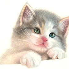 ,, солнышко,,