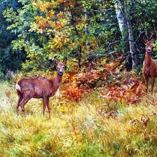 Схема вышивки «В осеннем лесу»