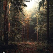 Схема вышивки «№2604026»