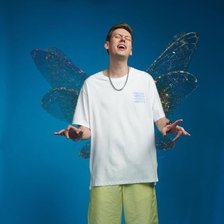 Схема вышивки «Антон с крыльями»