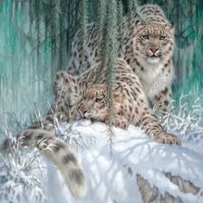 Схема вышивки «№2604794»