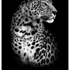 Схема вышивки «№2604916»