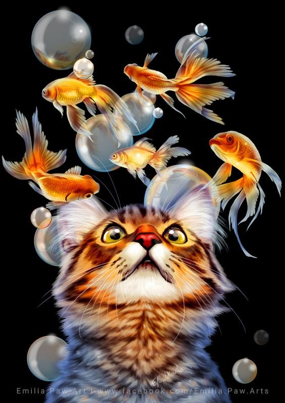 кот - кот - оригинал