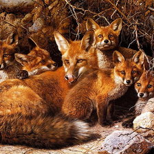 Схема вышивки «Лисы»